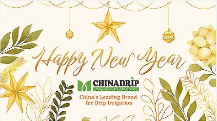 Aviso de vacaciones del Año Nuevo Chino de Chinadrip.(2024)
        